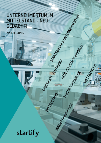 Whitepaper_strategisches Unternehmertum Whitepaper_strategisches Unternehmertum