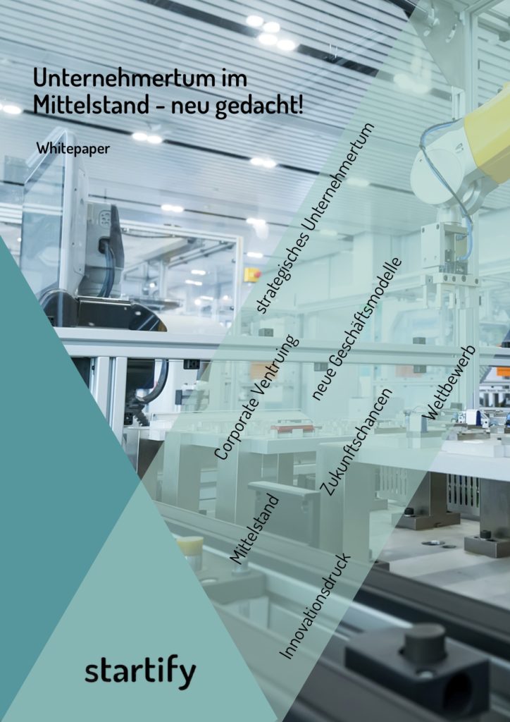 Whitepaper_strategisches-Unternehmertum_FINAL-724x1024